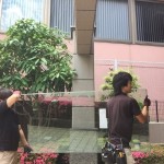 防火ガラスの運搬
